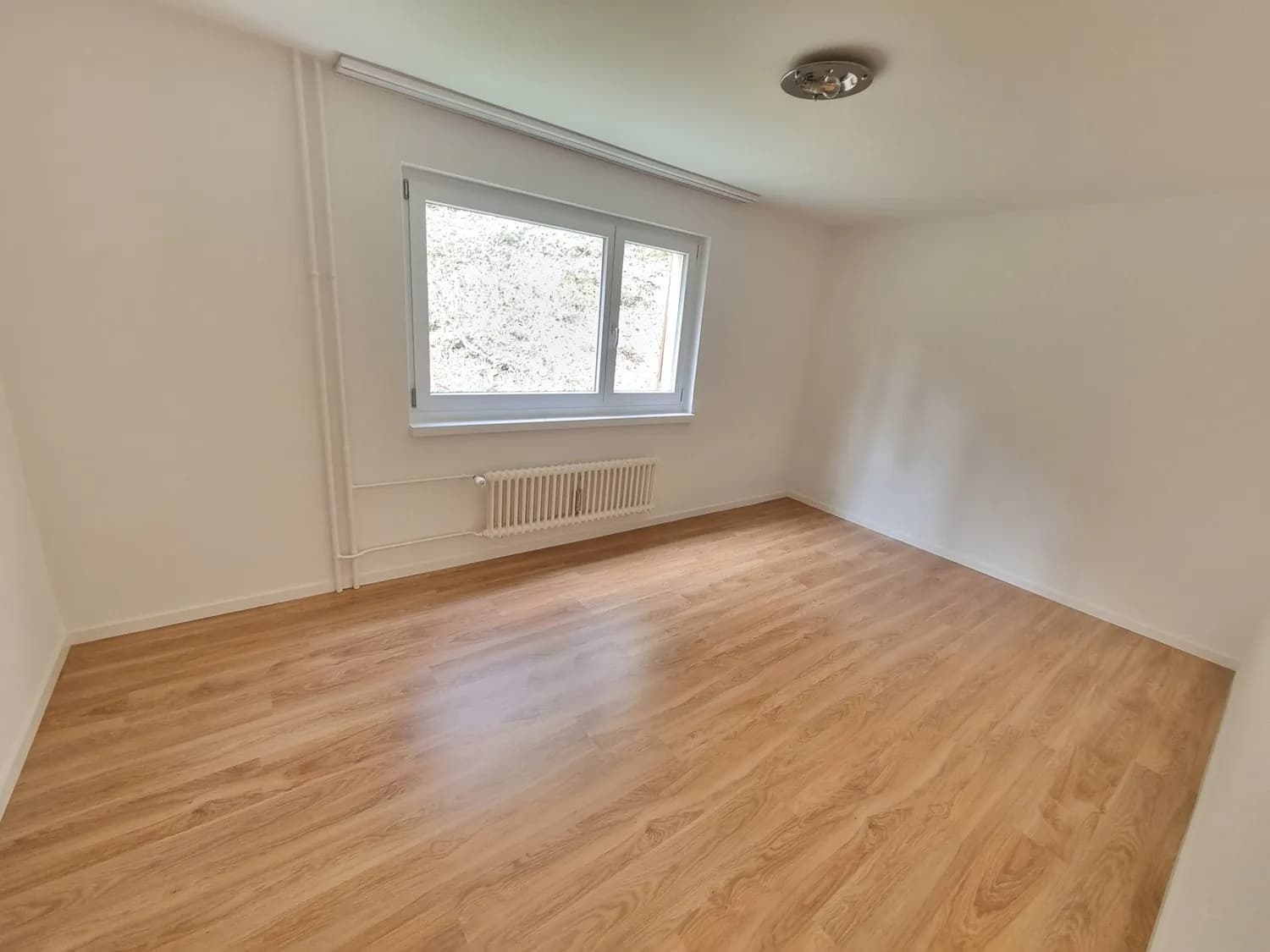 Frisch gestrichene Wohnung mit Balkon und Geschirrspüler  sofort verfügbar!