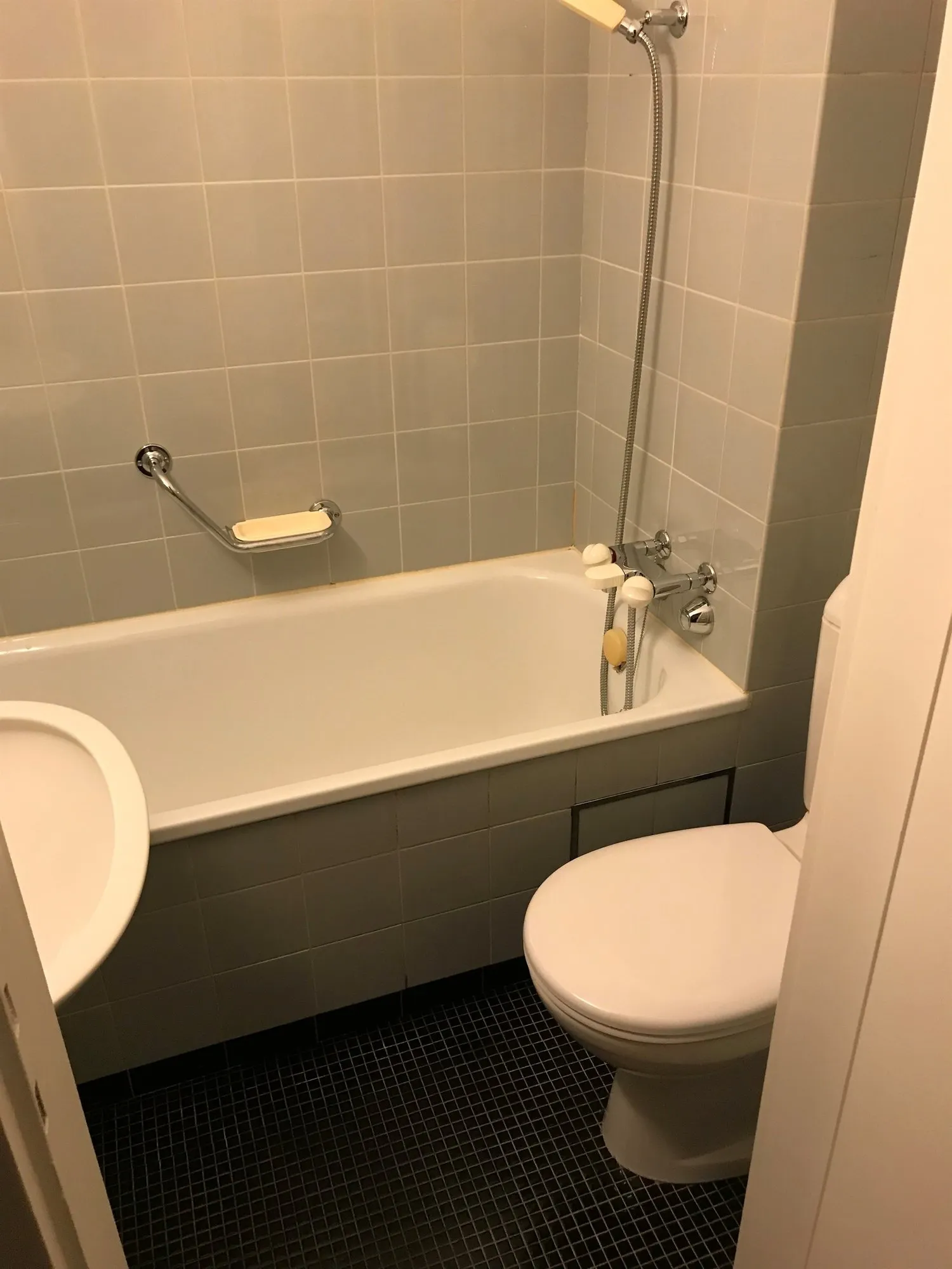 Gemütliche Singlewohnung in Oerlikon