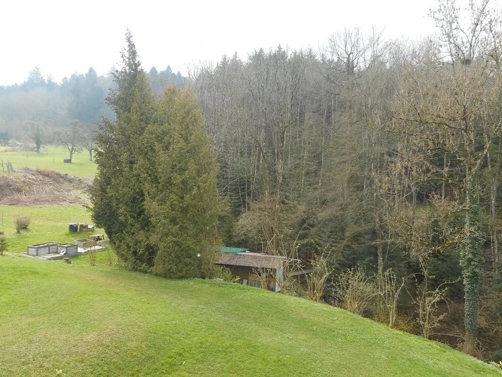 Ruhig Wohnen in Wittenbach