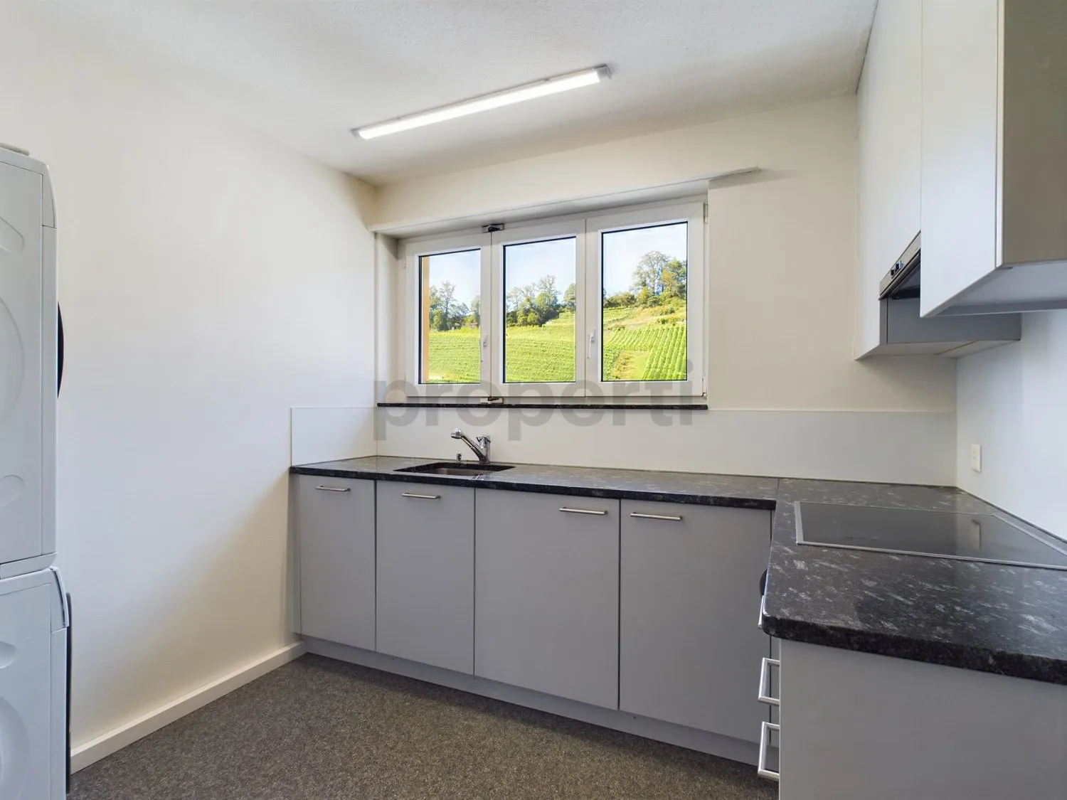 Helle 4-Zimmer-Wohnung in Thal mit traumhafter Terrasse