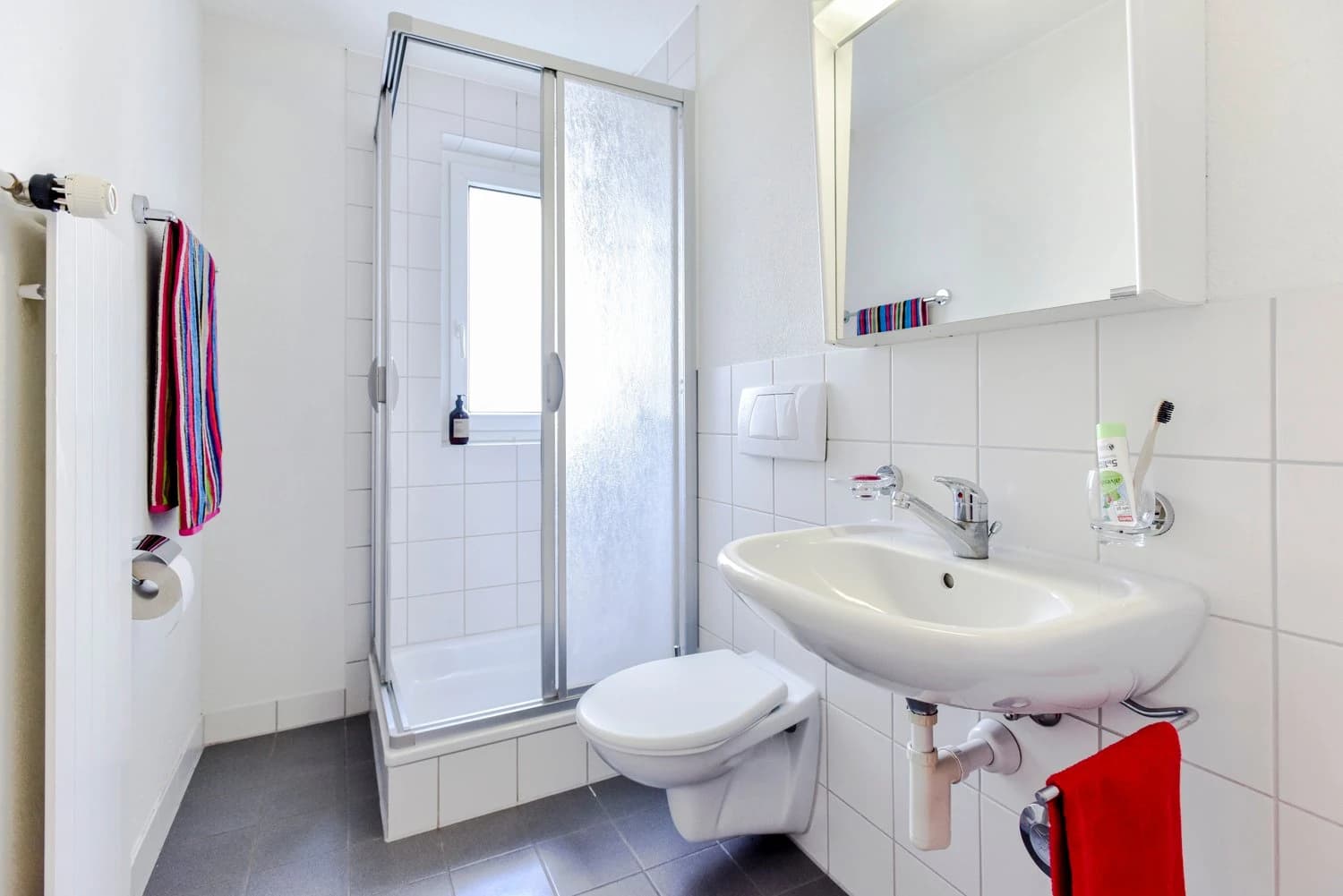 Grosse 4.5 Zimmer-Wohnung mit Aussicht direkt über der Allmend!