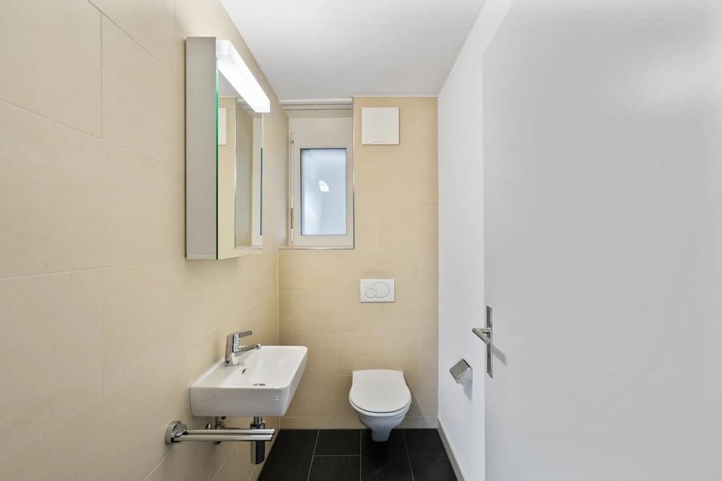 Traumhafte Wohnung mit grossem Sitzplatz