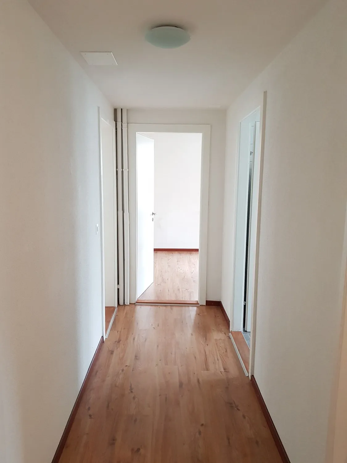 Charmante Wohnung  klassische Architektur trifft modernes Wohngefühl