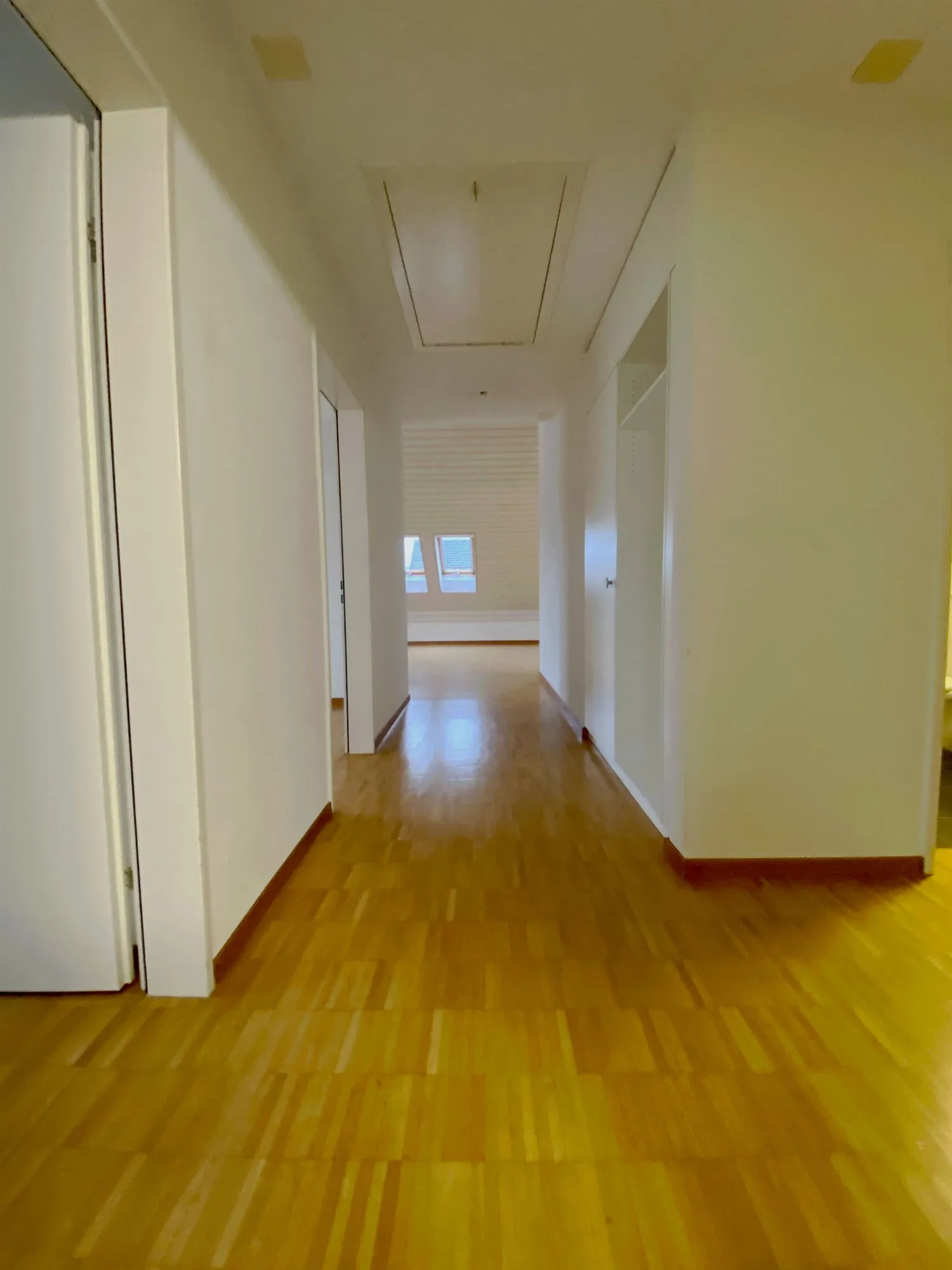 Ihr neues Zuhause- moderne Dachwohnung