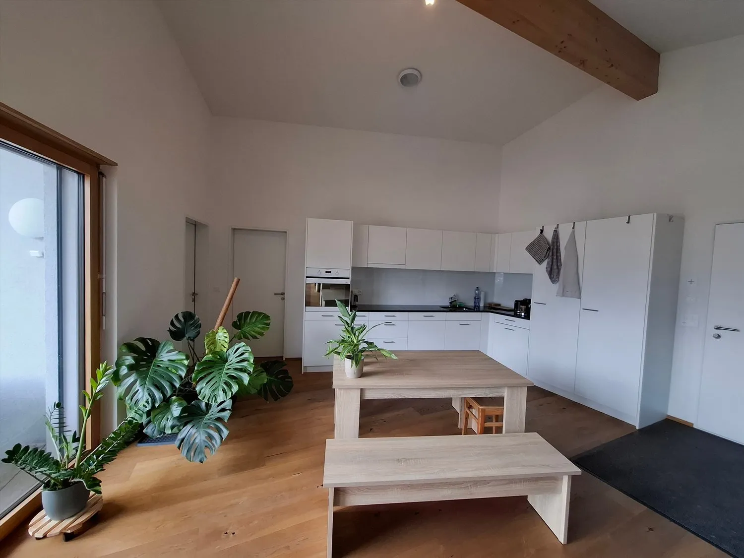 Moderne Wohnung im Grünen