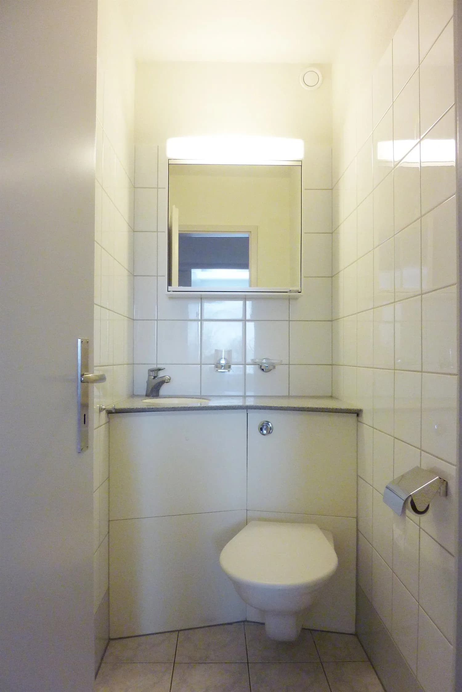 Traumaussicht über die ganze Stadt Zürich bis zum See