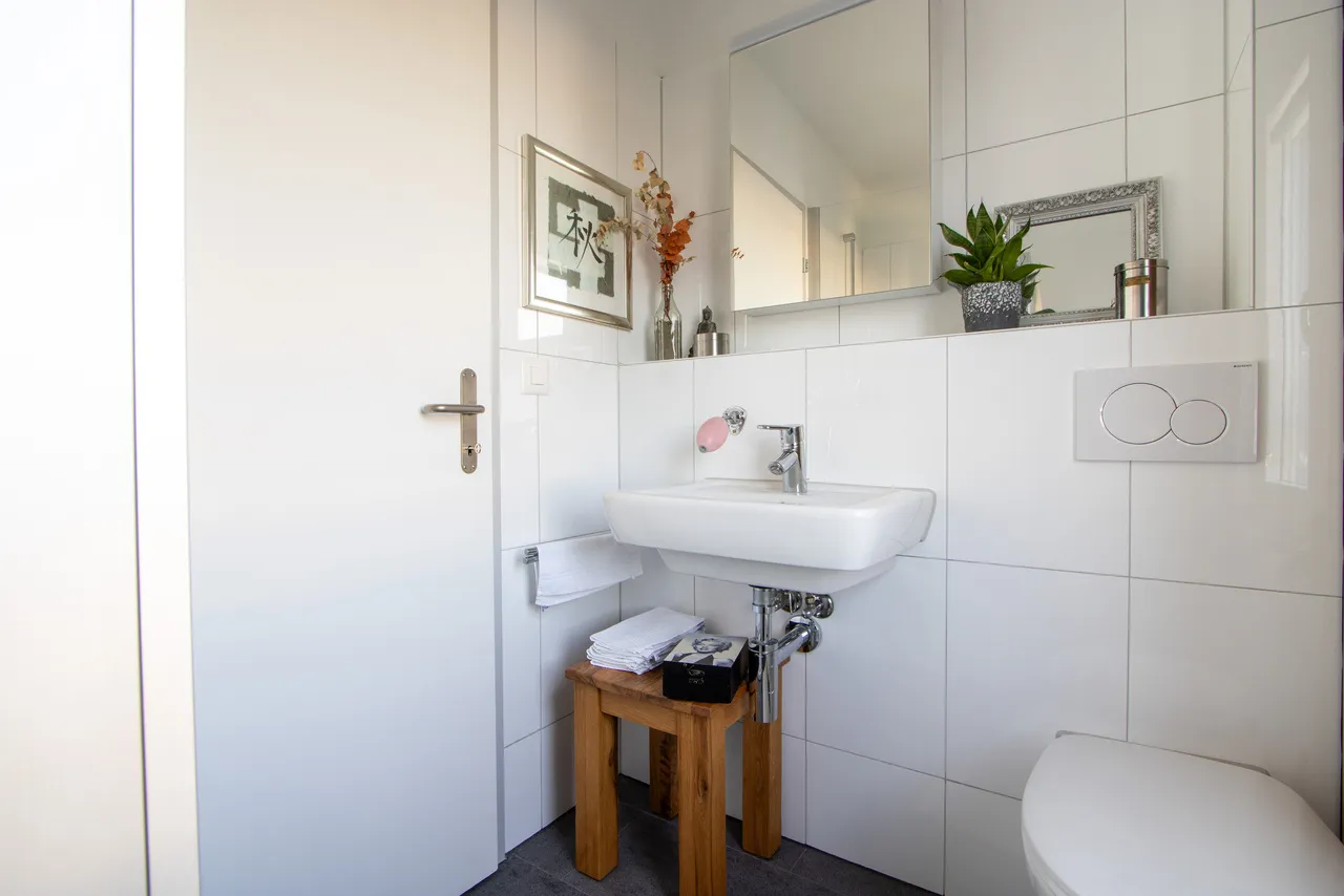 Stilvolle Attikawohnung mit Schwedenofen und grosser Terrasse