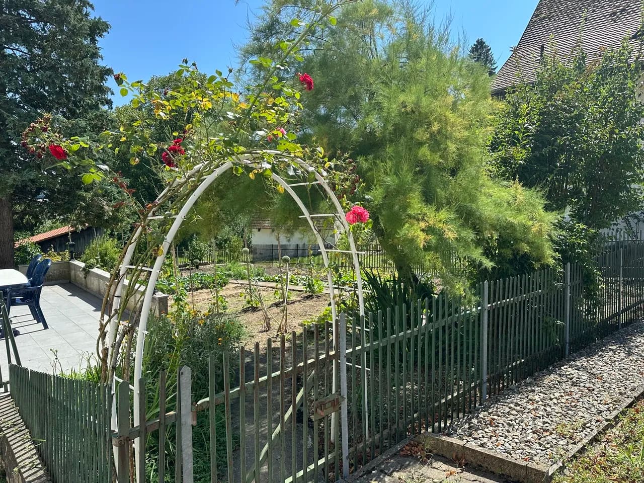 tolle, heimelige 3.5 Zimmer EG Wohnung