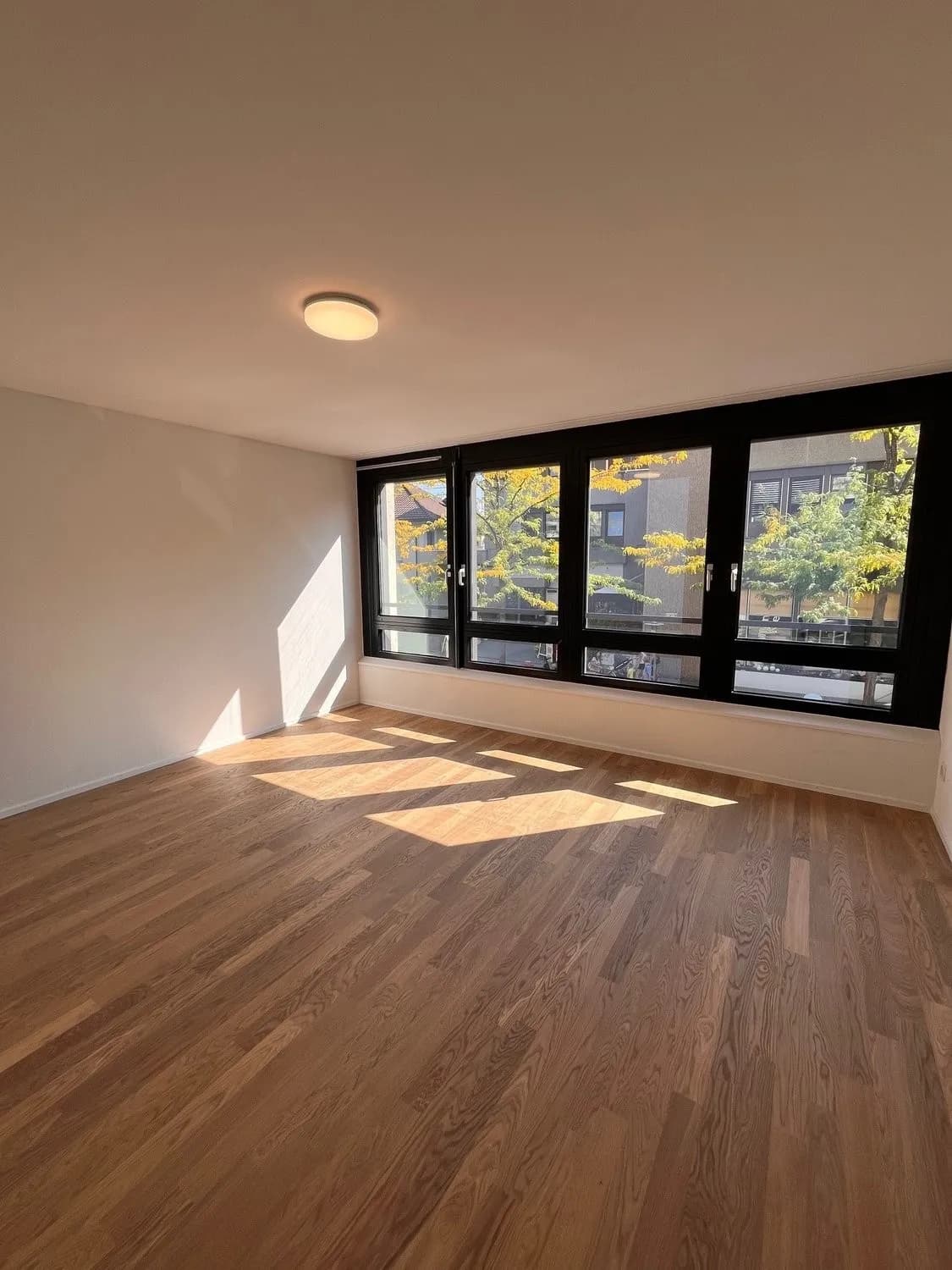 Frisch sanierte 4.5-Zimmerwohnungen an zentraler Lage in Lyss