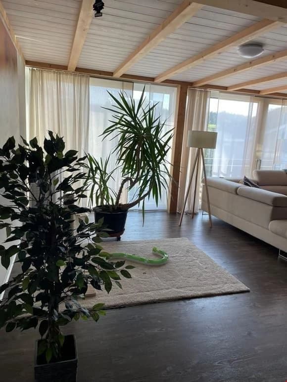 Modern 5.5-Zimmer-Apartment mit Balkon, Cordast