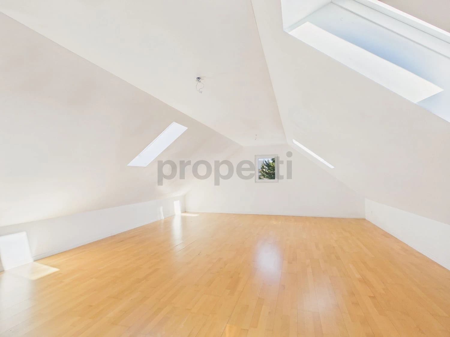 Geräumige 4.5-Zimmer-Dachwohnung mit zentraler Lage, Thayngen