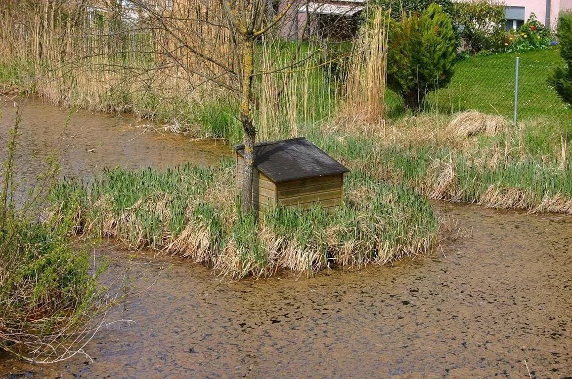 Rein ins Wohnglück!