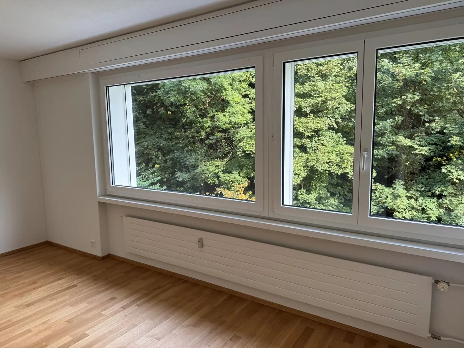 Frisch sanierte Wohnung an begehrter Lage in Luzern