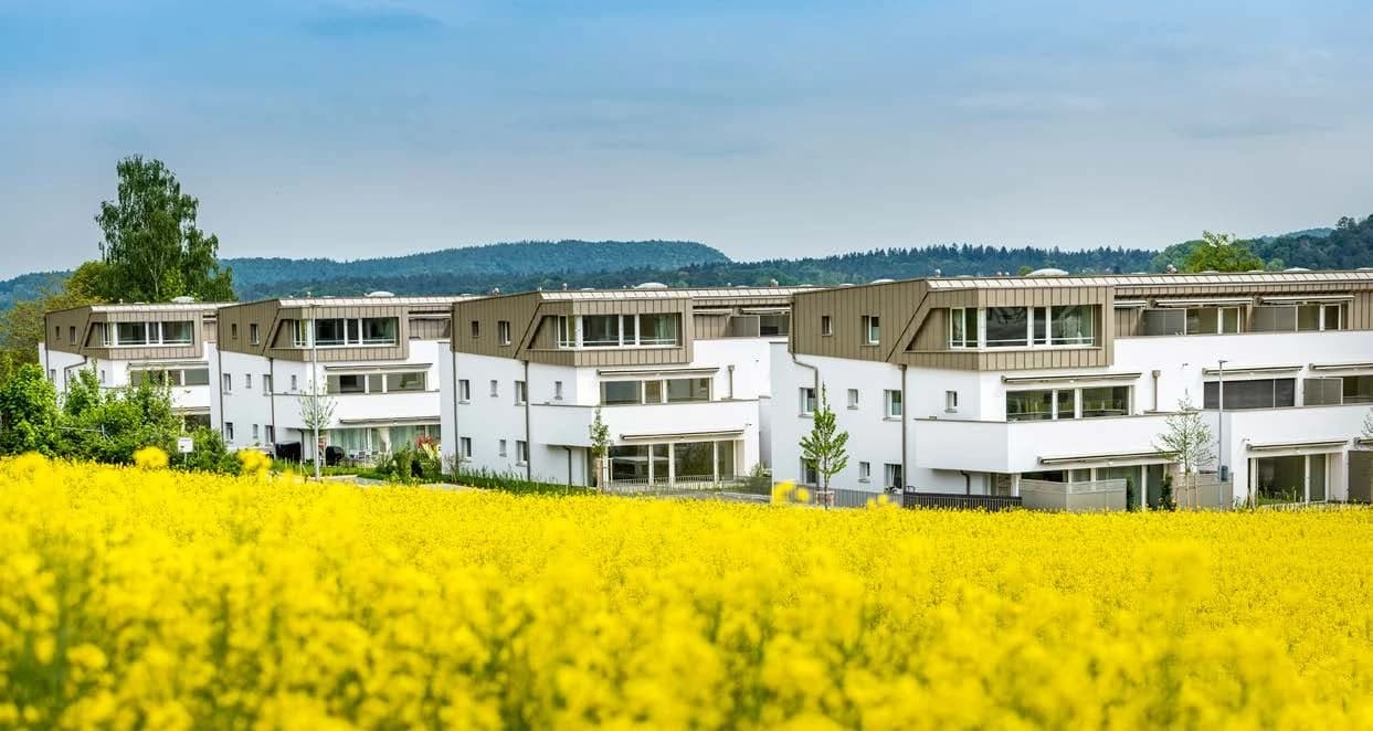 Grosszügige Wohnung im Grünen gesucht?