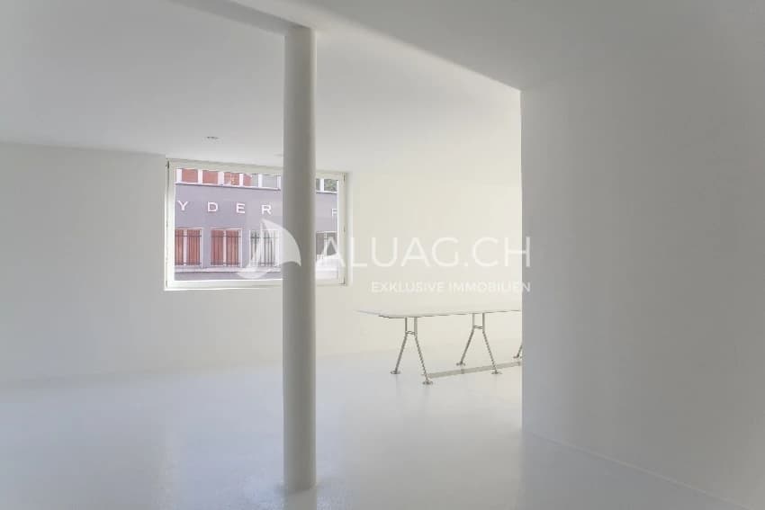 VIELSEITIGE HOCHPARTERRE-LOFT IM ZENTRUM