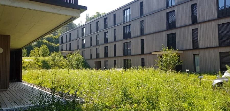 Ihre Traumwohnung -  MIETEN OHNE KAUTION