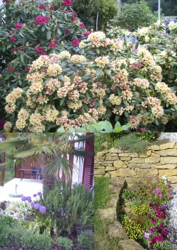 Einfamilienhaus mit separatem Eingang und Büro mit Toilette.