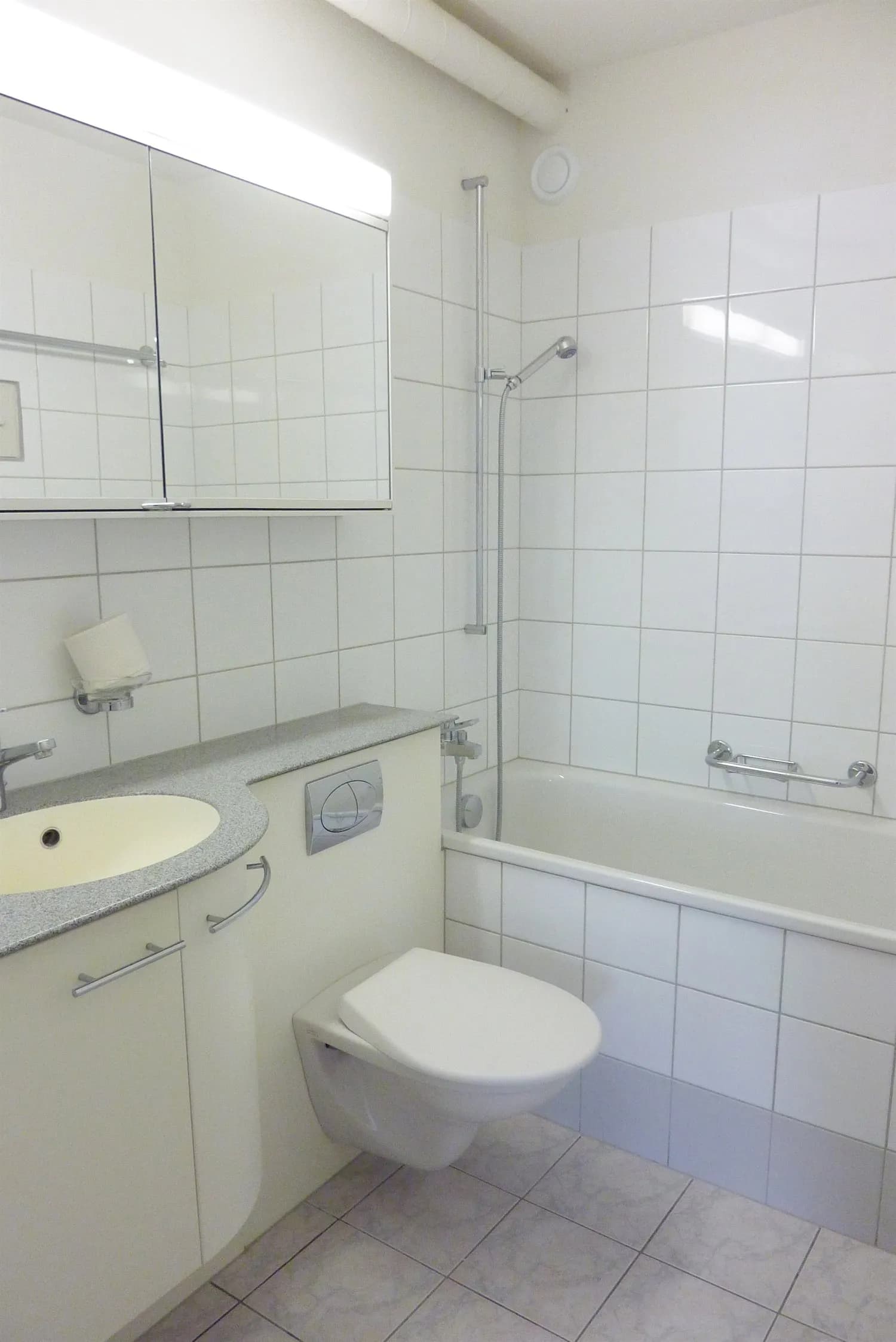 Traumaussicht über die ganze Stadt Zürich bis zum See