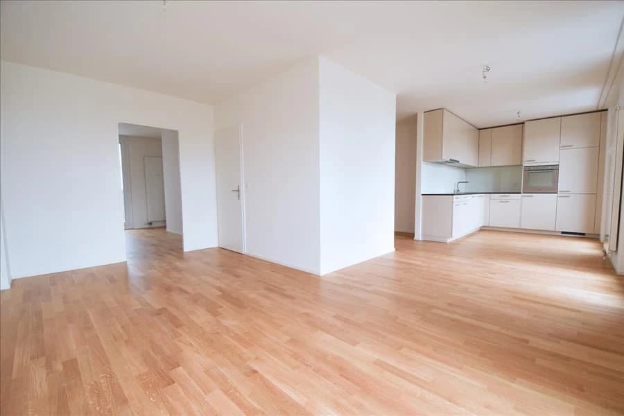 Über den Dächern von Basel