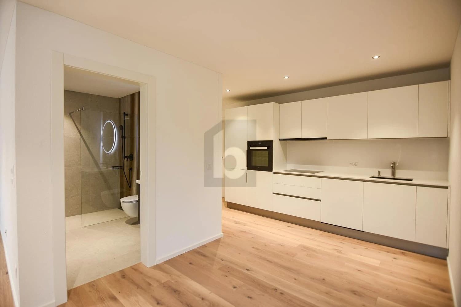 NEUBAU AM WERDENBERGER SEE (C001)