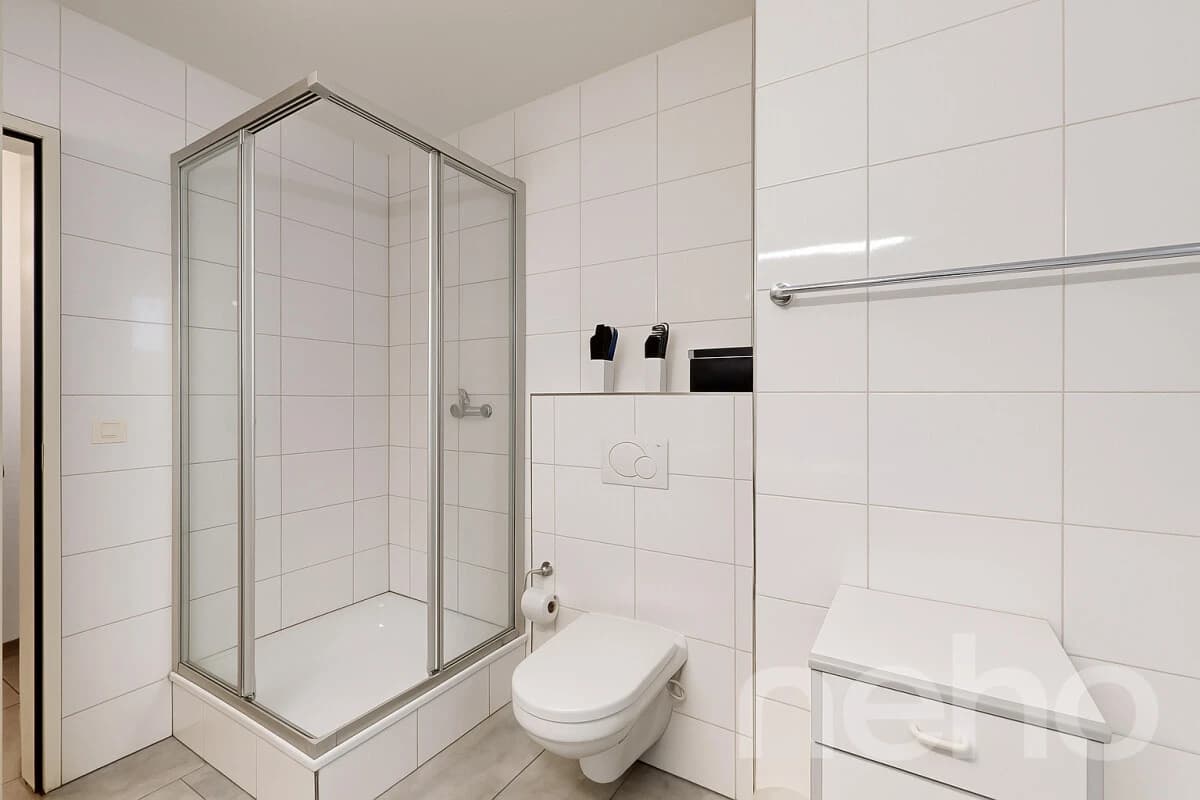 Schöne 3.5-Zimmer-Attikawohnung mit Weitsicht in Schlieren