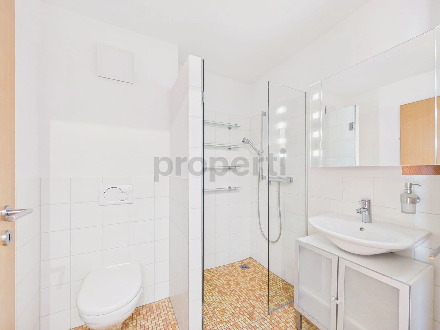 Moderne 4.5-Zimmer-Wohnung mit Rheinblick