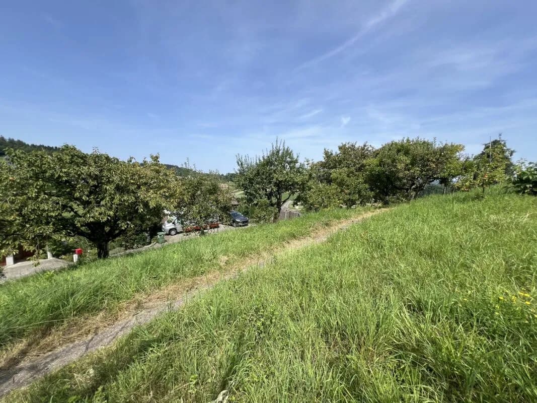 Freistehendes Einfamilienhaus mit Einliegerwohnung