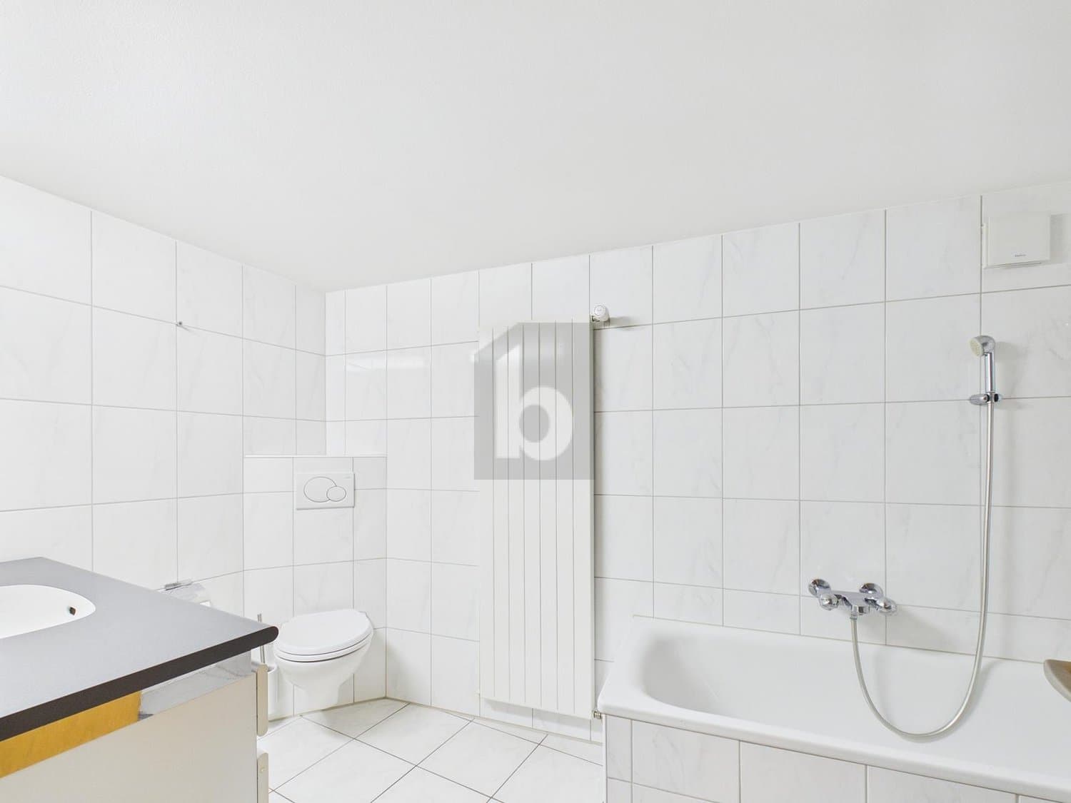 CHARMANT MIT CHEMINÈE